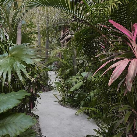 Hotel Boutique Terranova Tulum Eksteriør billede