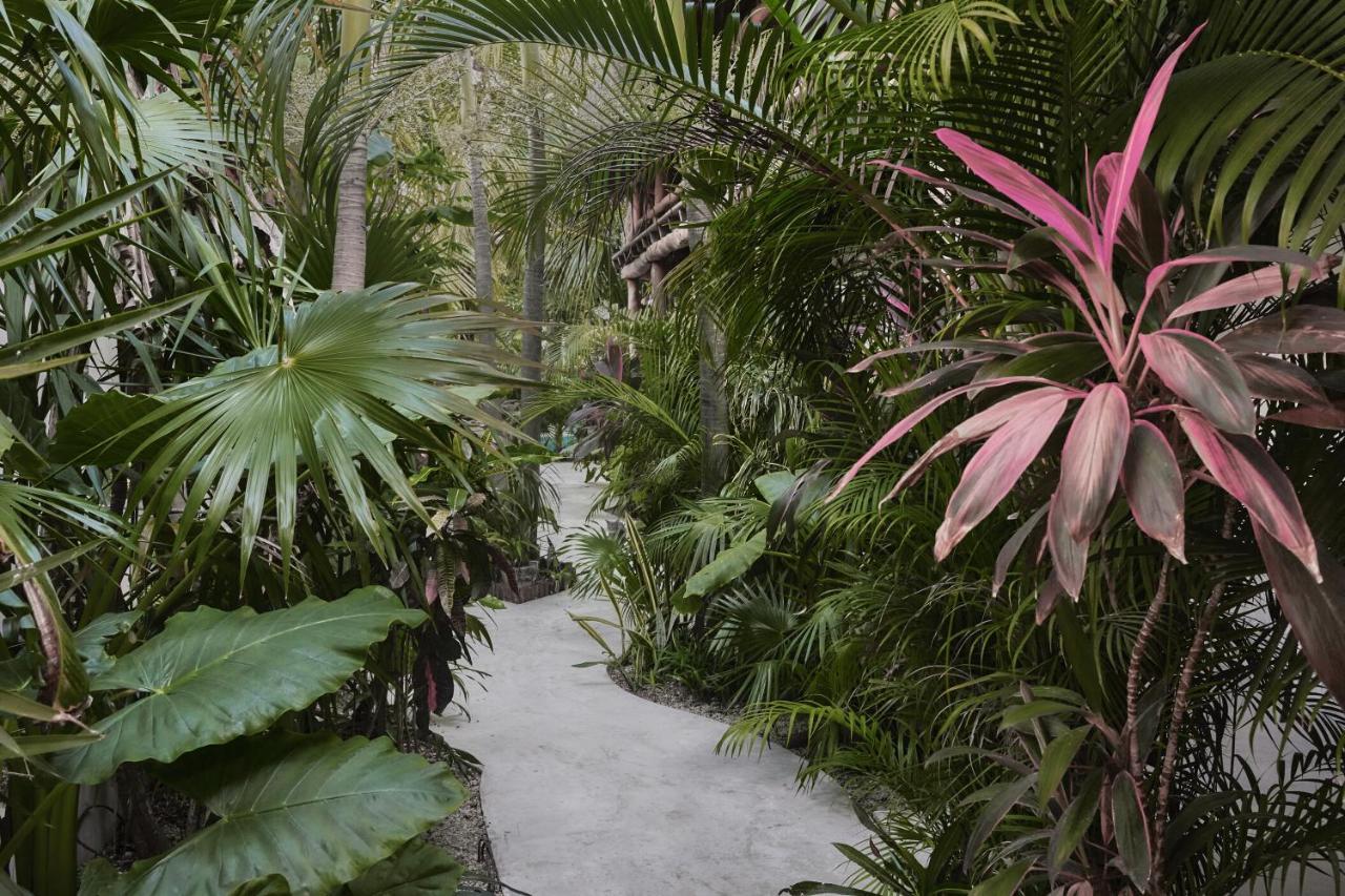 Hotel Boutique Terranova Tulum Eksteriør billede